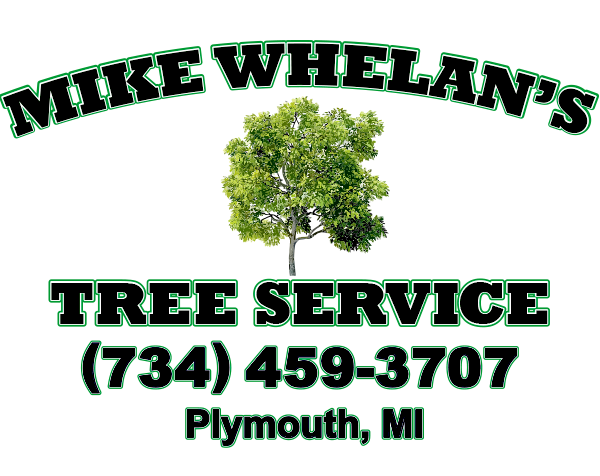 Mike's Tree and Stump Services