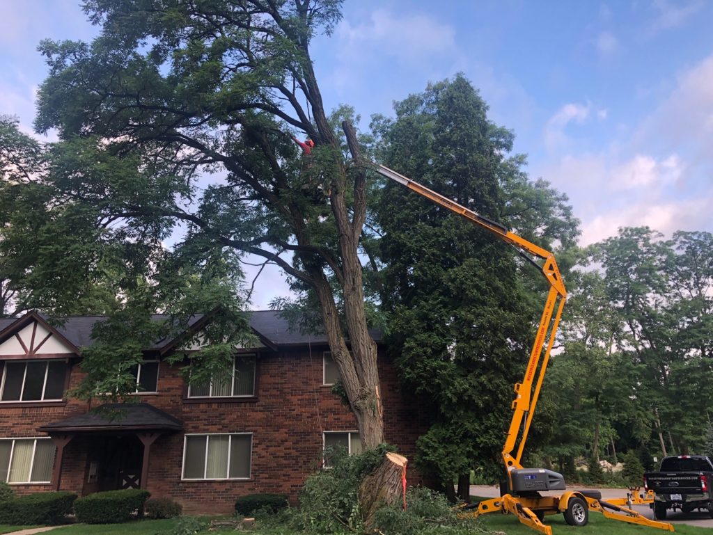Northville Forest Apartments